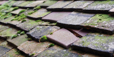 Ditchfield roof repair costs